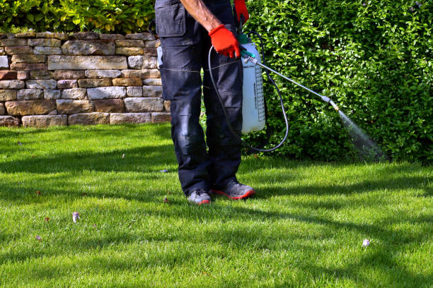 Best Lawn Pest Control  in Avodo Heights, CA